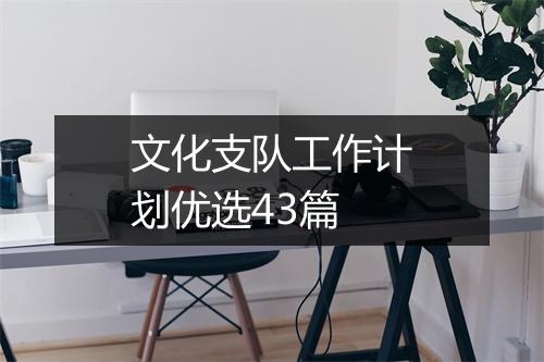 文化支队工作计划优选43篇