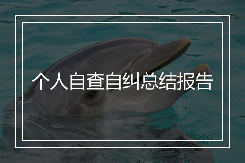 个人自查自纠总结报告