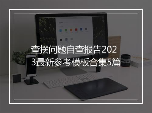 查摆问题自查报告2023最新参考模板合集5篇
