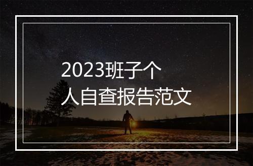 2023班子个人自查报告范文