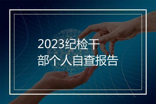 2023纪检干部个人自查报告