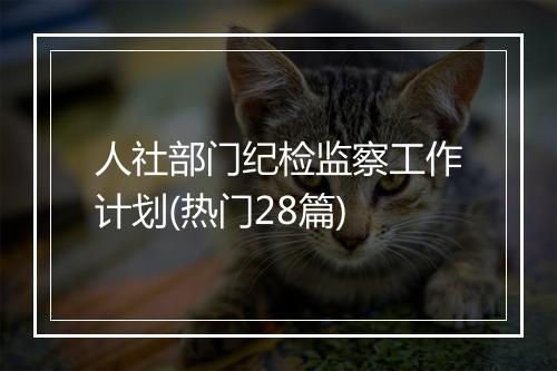 人社部门纪检监察工作计划(热门28篇)