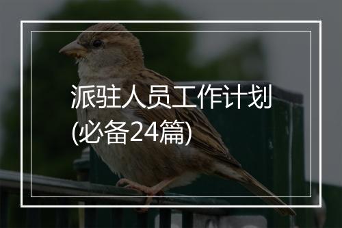 派驻人员工作计划(必备24篇)