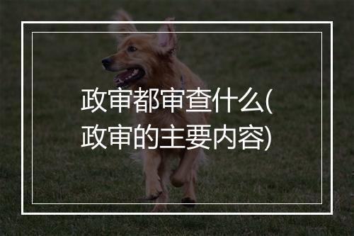 政审都审查什么(政审的主要内容)