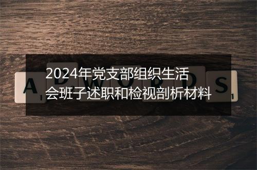 2024年党支部组织生活会班子述职和检视剖析材料