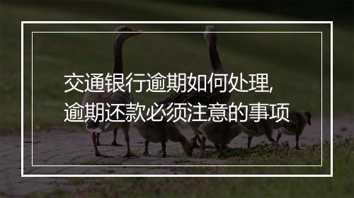 交通银行逾期如何处理,逾期还款必须注意的事项