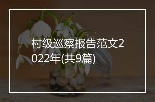 村级巡察报告范文2022年(共9篇)