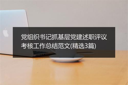 党组织书记抓基层党建述职评议考核工作总结范文(精选3篇)