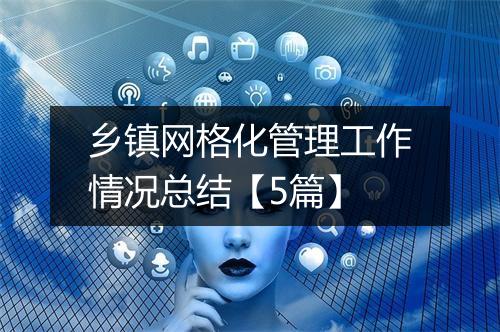乡镇网格化管理工作情况总结【5篇】