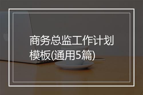 商务总监工作计划模板(通用5篇)