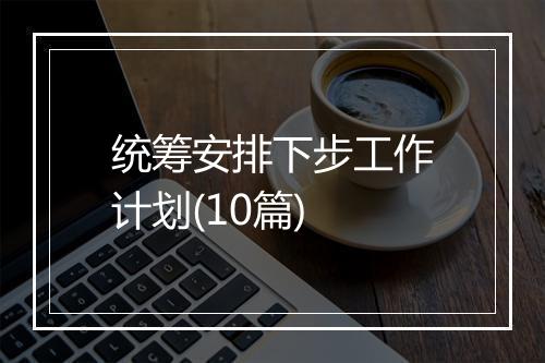 统筹安排下步工作计划(10篇)
