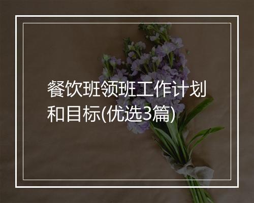餐饮班领班工作计划和目标(优选3篇)