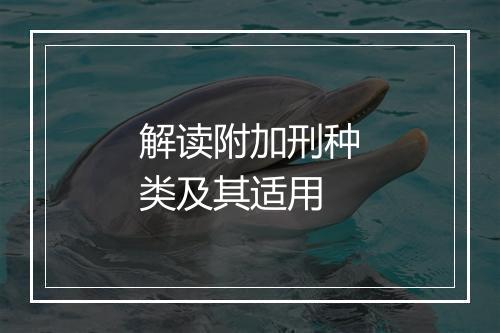 解读附加刑种类及其适用