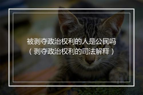 被剥夺政治权利的人是公民吗（剥夺政治权利的司法解释）