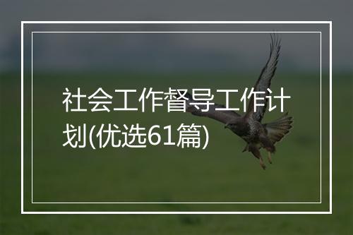 社会工作督导工作计划(优选61篇)