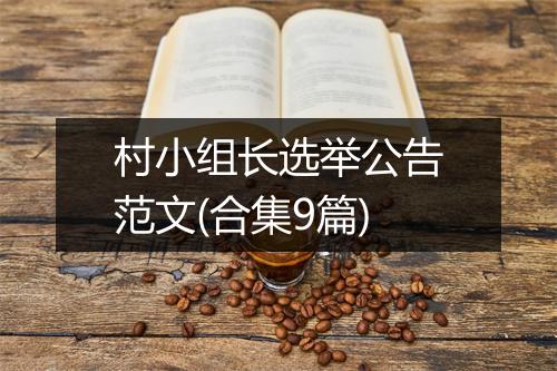 村小组长选举公告范文(合集9篇)