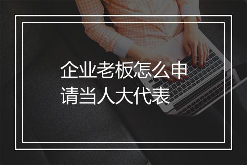 企业老板怎么申请当人大代表