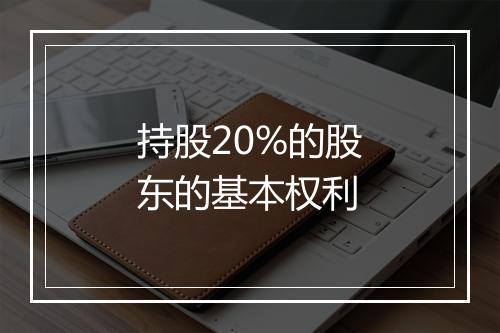 持股20%的股东的基本权利
