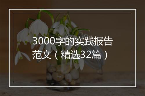 3000字的实践报告范文（精选32篇）