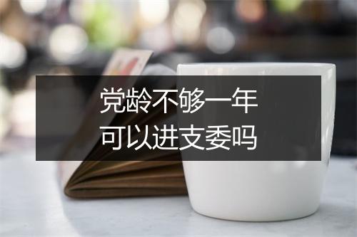 党龄不够一年可以进支委吗