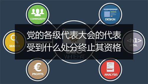 党的各级代表大会的代表受到什么处分终止其资格