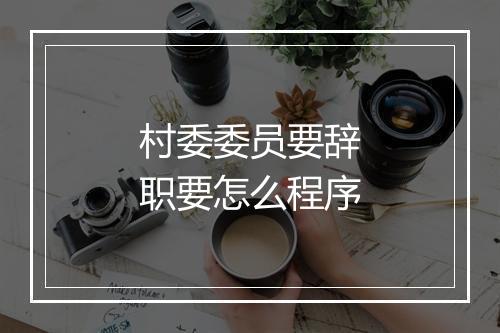 村委委员要辞职要怎么程序