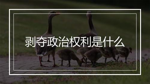 剥夺政治权利是什么