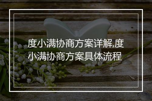 度小满协商方案详解,度小满协商方案具体流程