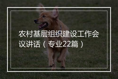 农村基层组织建设工作会议讲话（专业22篇）