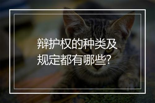 辩护权的种类及规定都有哪些?