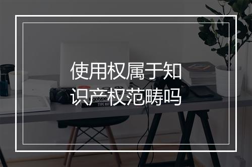 使用权属于知识产权范畴吗