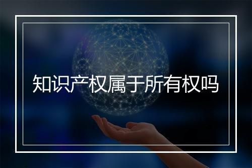 知识产权属于所有权吗