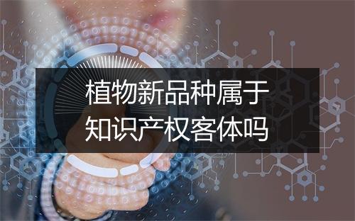 植物新品种属于知识产权客体吗