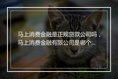 马上消费金融是正规贷款公司吗，马上消费金融有限公司是哪个平台的贷款