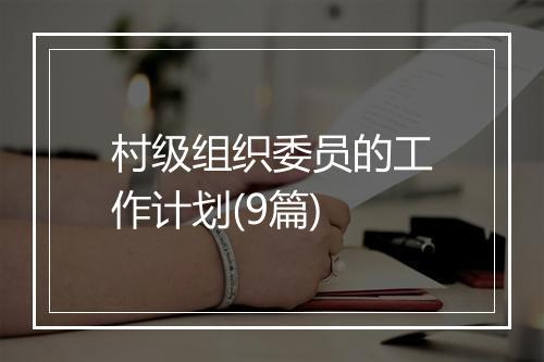 村级组织委员的工作计划(9篇)