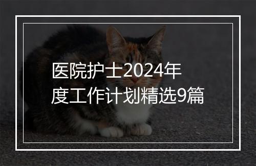医院护士2024年度工作计划精选9篇