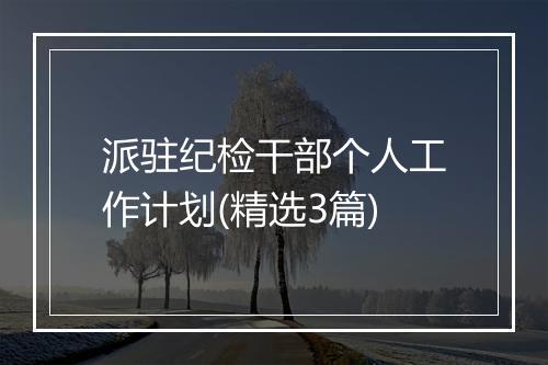 派驻纪检干部个人工作计划(精选3篇)