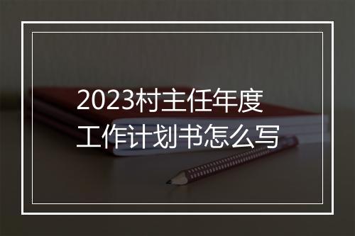 2023村主任年度工作计划书怎么写