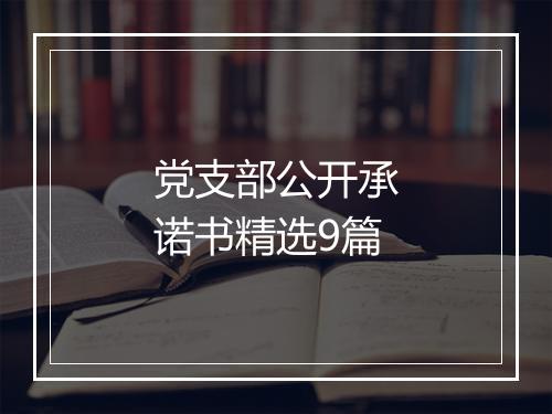 党支部公开承诺书精选9篇