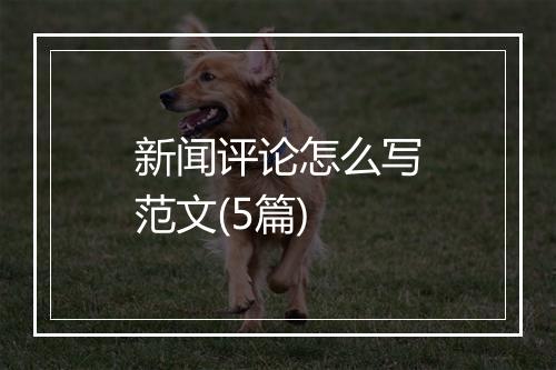 新闻评论怎么写范文(5篇)