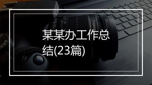 某某办工作总结(23篇)