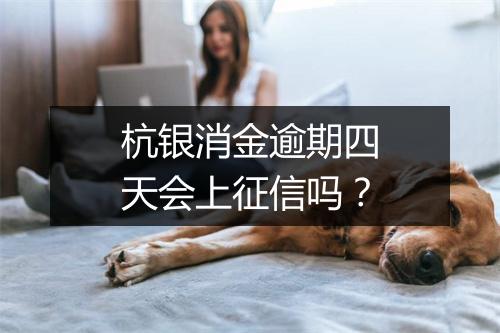 杭银消金逾期四天会上征信吗？