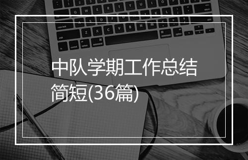 中队学期工作总结简短(36篇)
