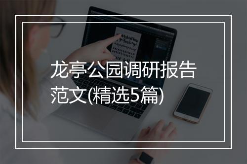 龙亭公园调研报告范文(精选5篇)