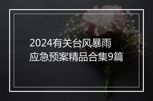 2024有关台风暴雨应急预案精品合集9篇