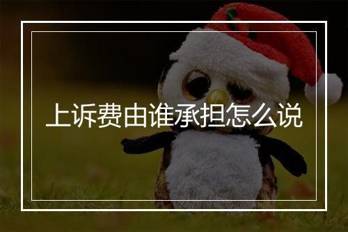 上诉费由谁承担怎么说