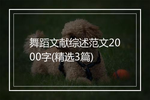 舞蹈文献综述范文2000字(精选3篇)