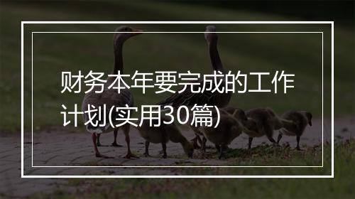 财务本年要完成的工作计划(实用30篇)