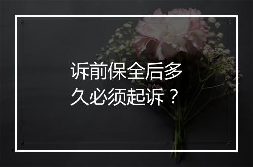 诉前保全后多久必须起诉？