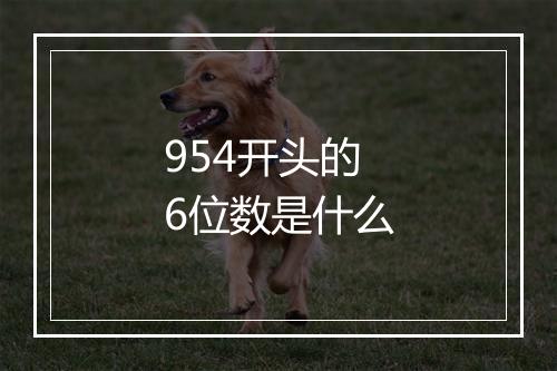 954开头的6位数是什么